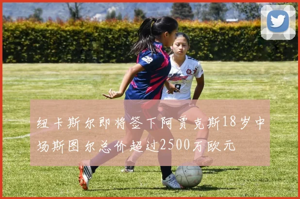纽卡斯尔即将签下阿贾克斯18岁中场斯图尔总价超过2500万欧元