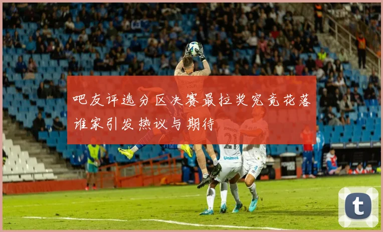 吧友评选分区决赛最拉奖究竟花落谁家引发热议与期待